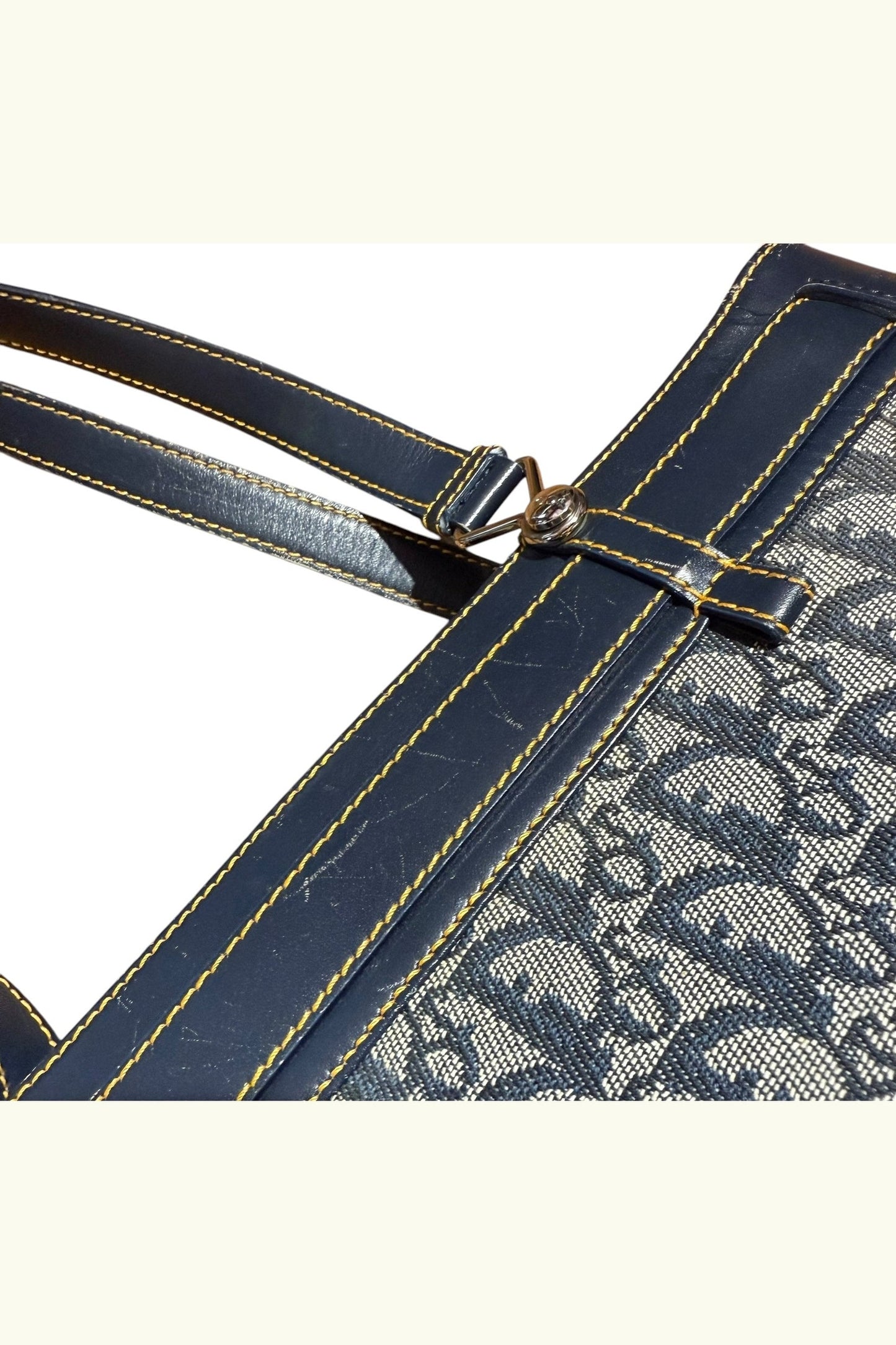 Christian Dior Rare Large Trotter Shoulder Bag