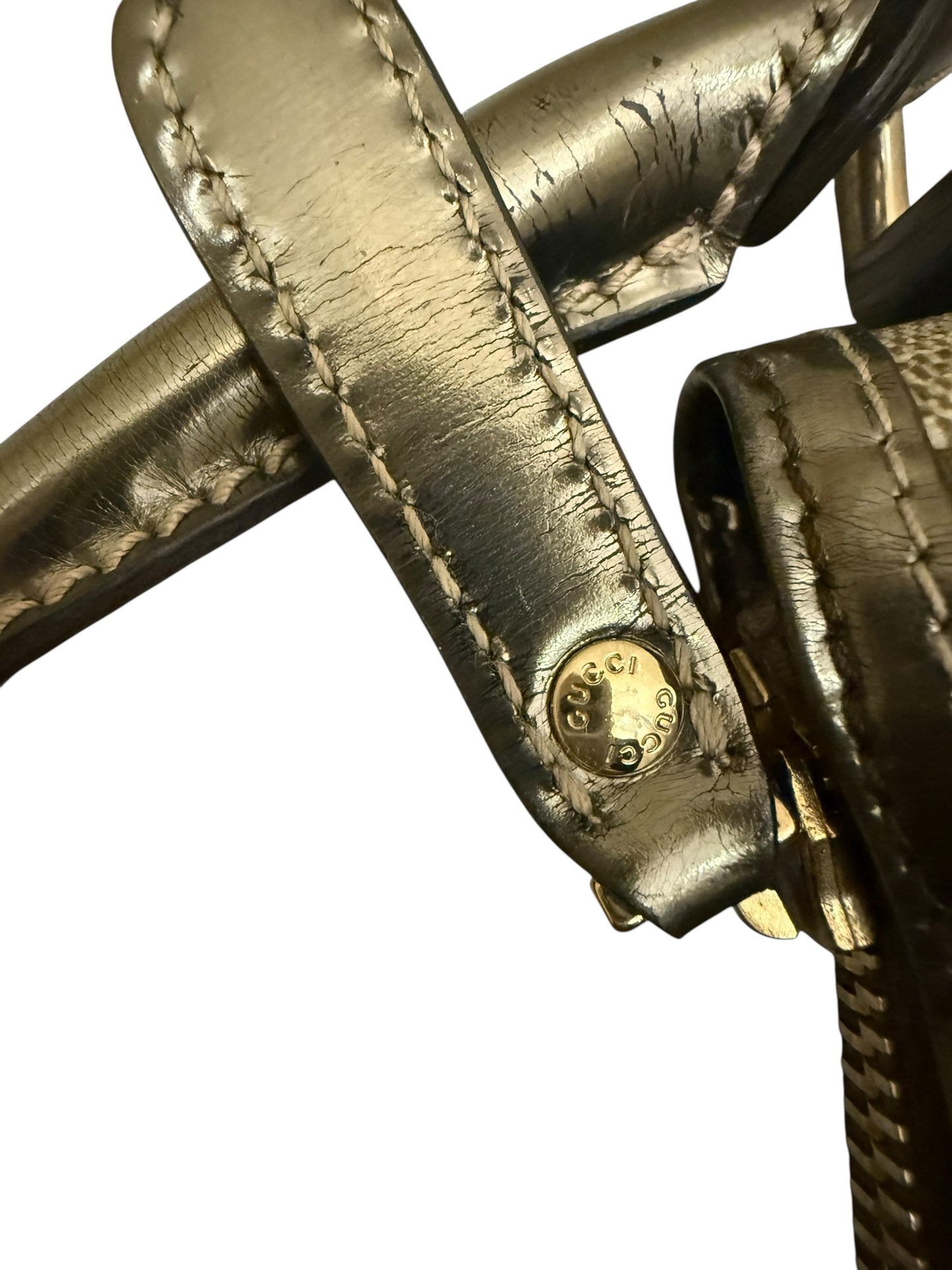 Gucci Mini Canvas Bag