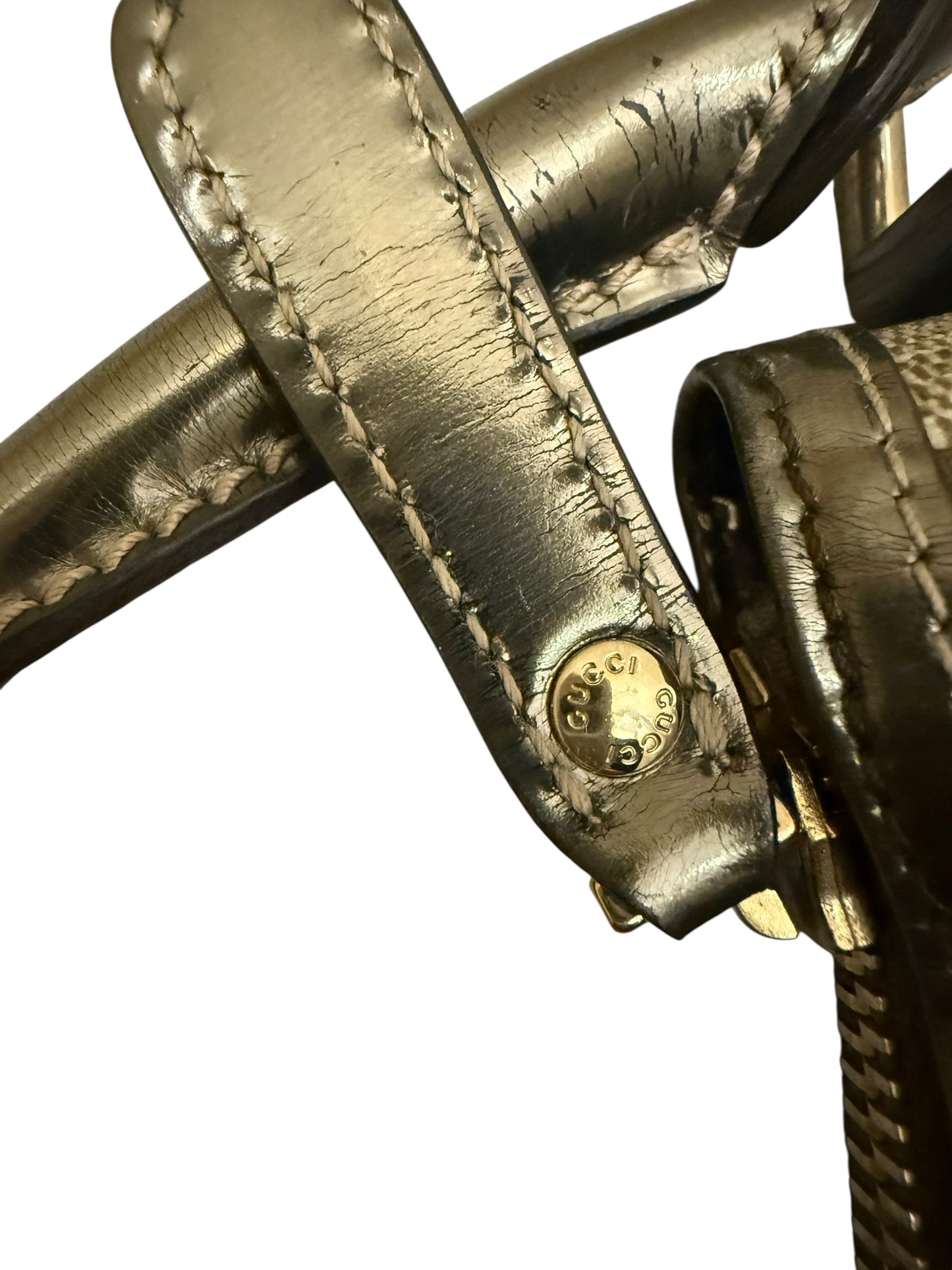 Gucci Mini Canvas Bag