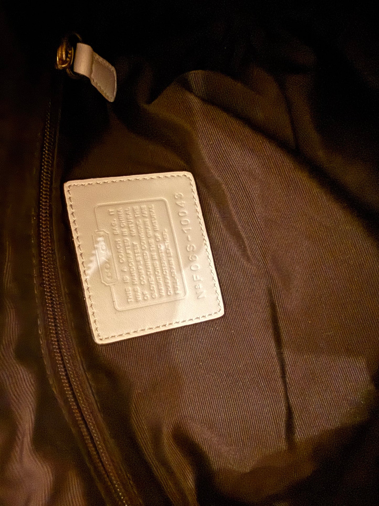 Coach Hobo Bag