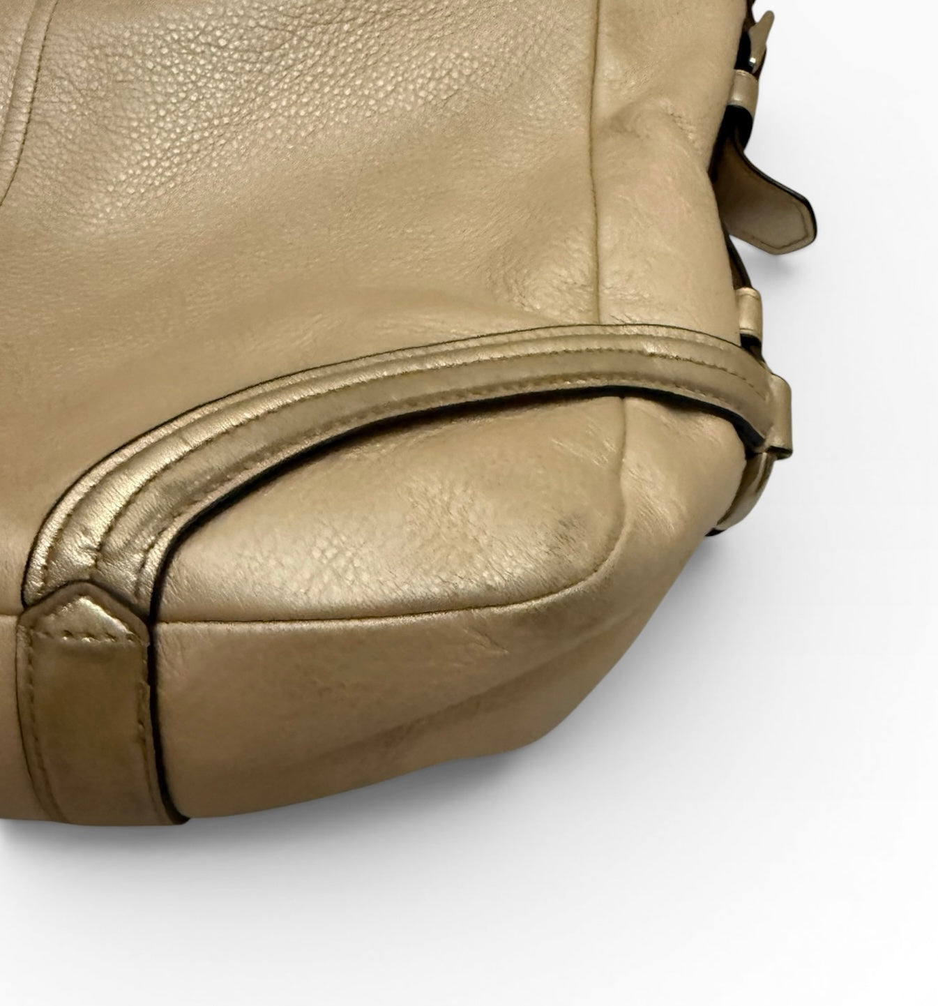 Coach Chelsea Metallic Leather Shimmer Hobo Bag