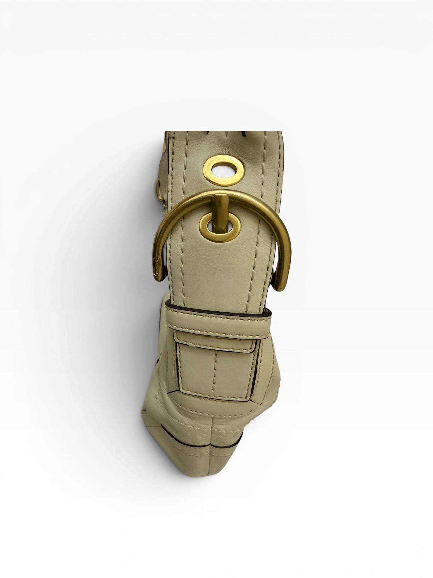 Coach Hobo Bag