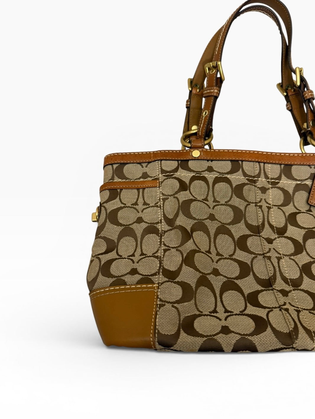 Coach Signature Tote