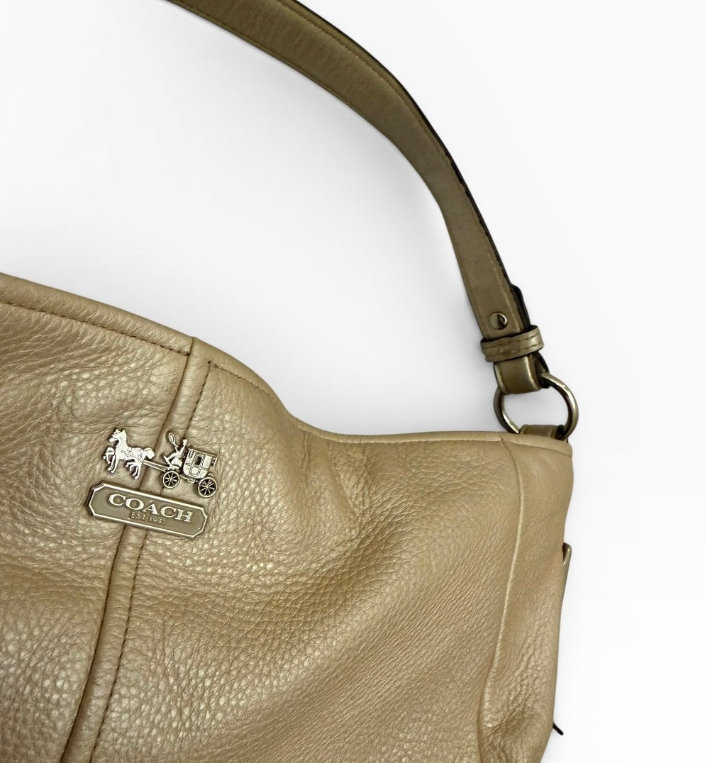 Coach Chelsea Metallic Leather Shimmer Hobo Bag