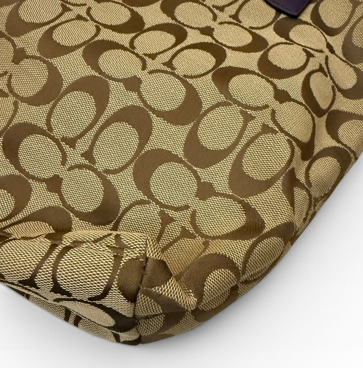 Coach Python Tote