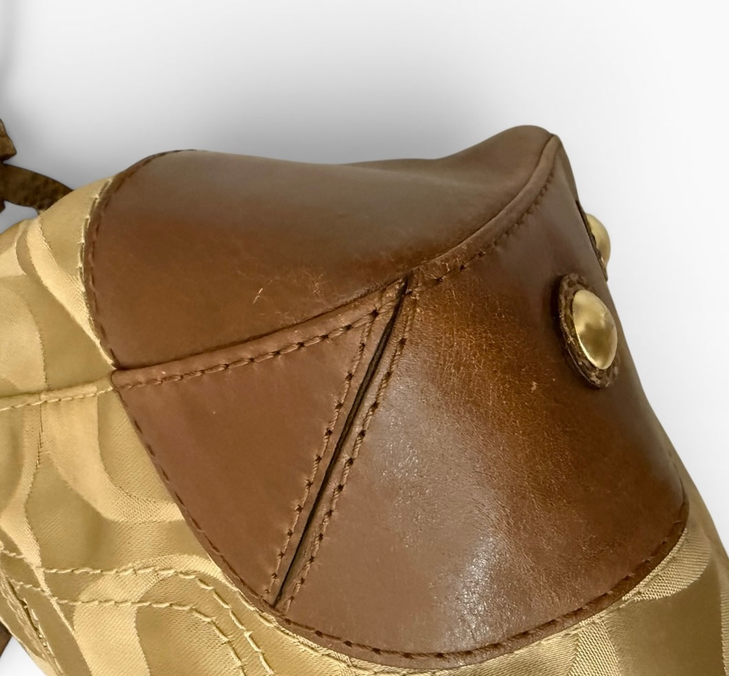 Coach Peyton Signature Bag