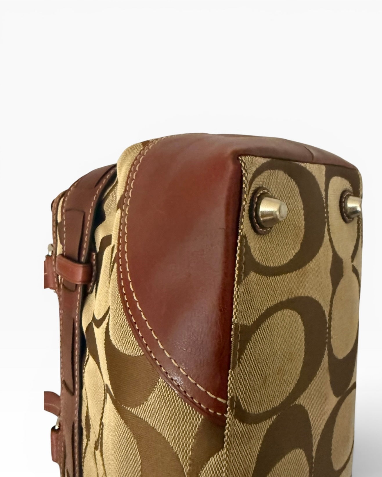 Coach Hampton Clip Python Bag