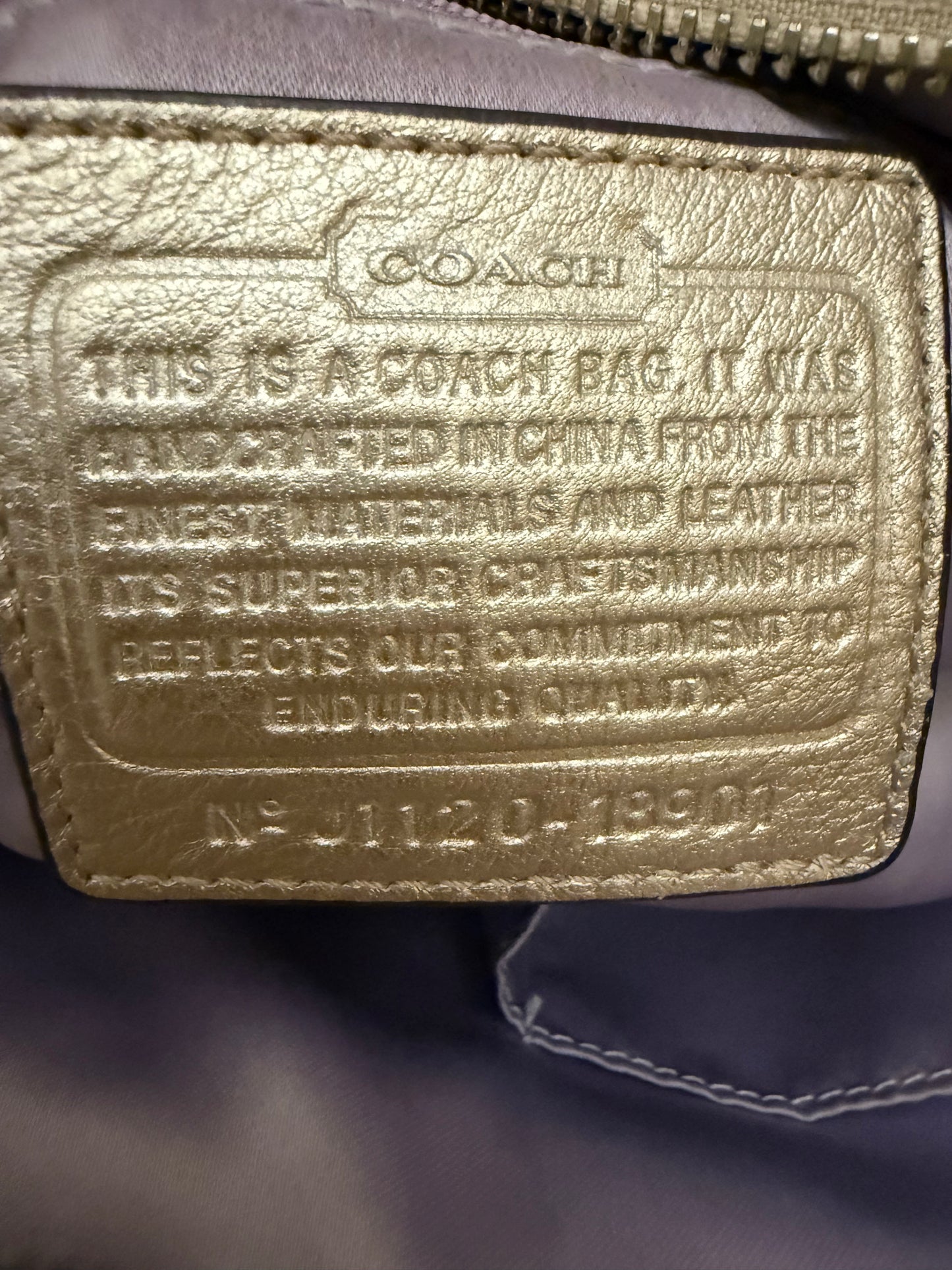 Coach Chelsea Metallic Leather Shimmer Hobo Bag