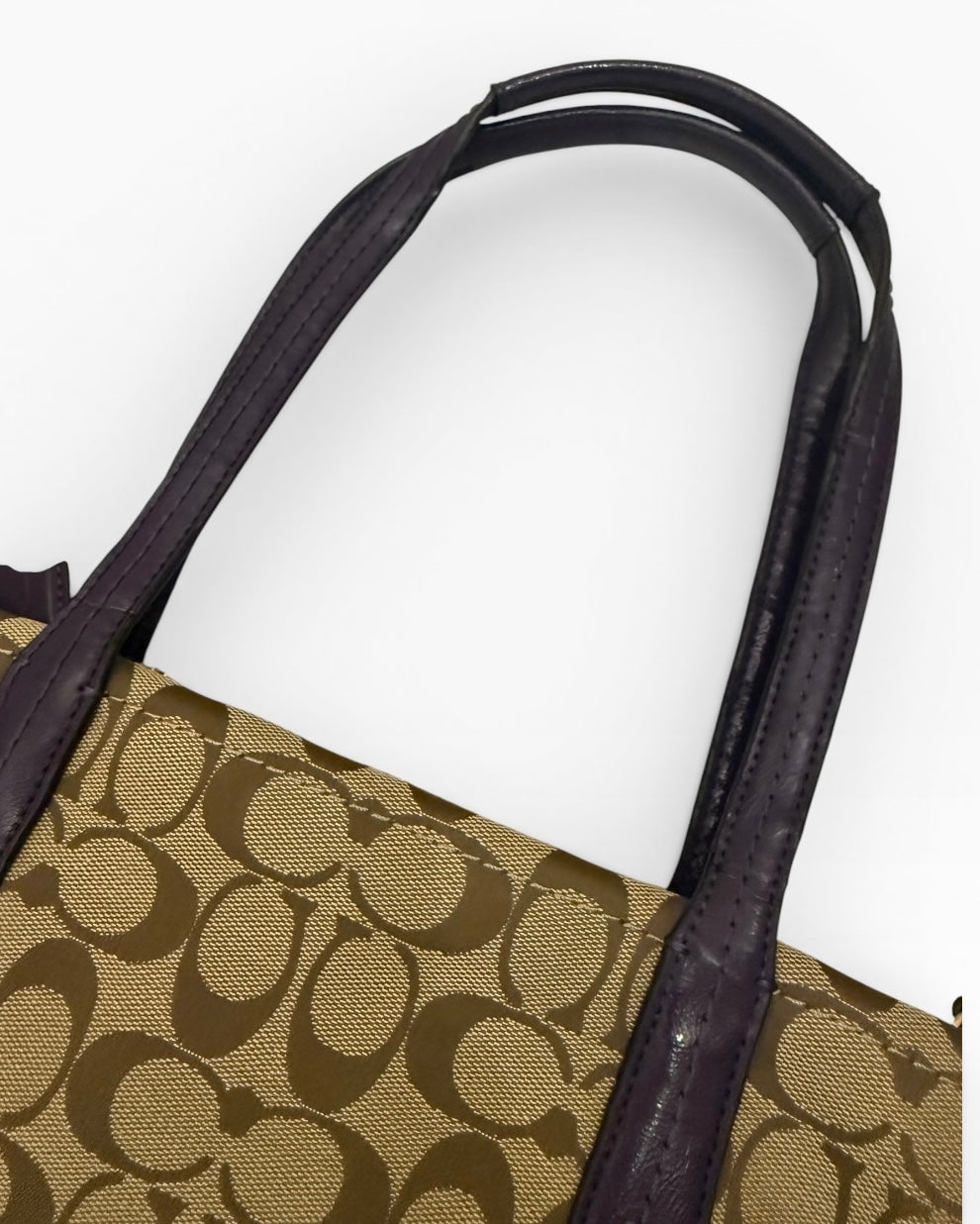 Coach Python Tote