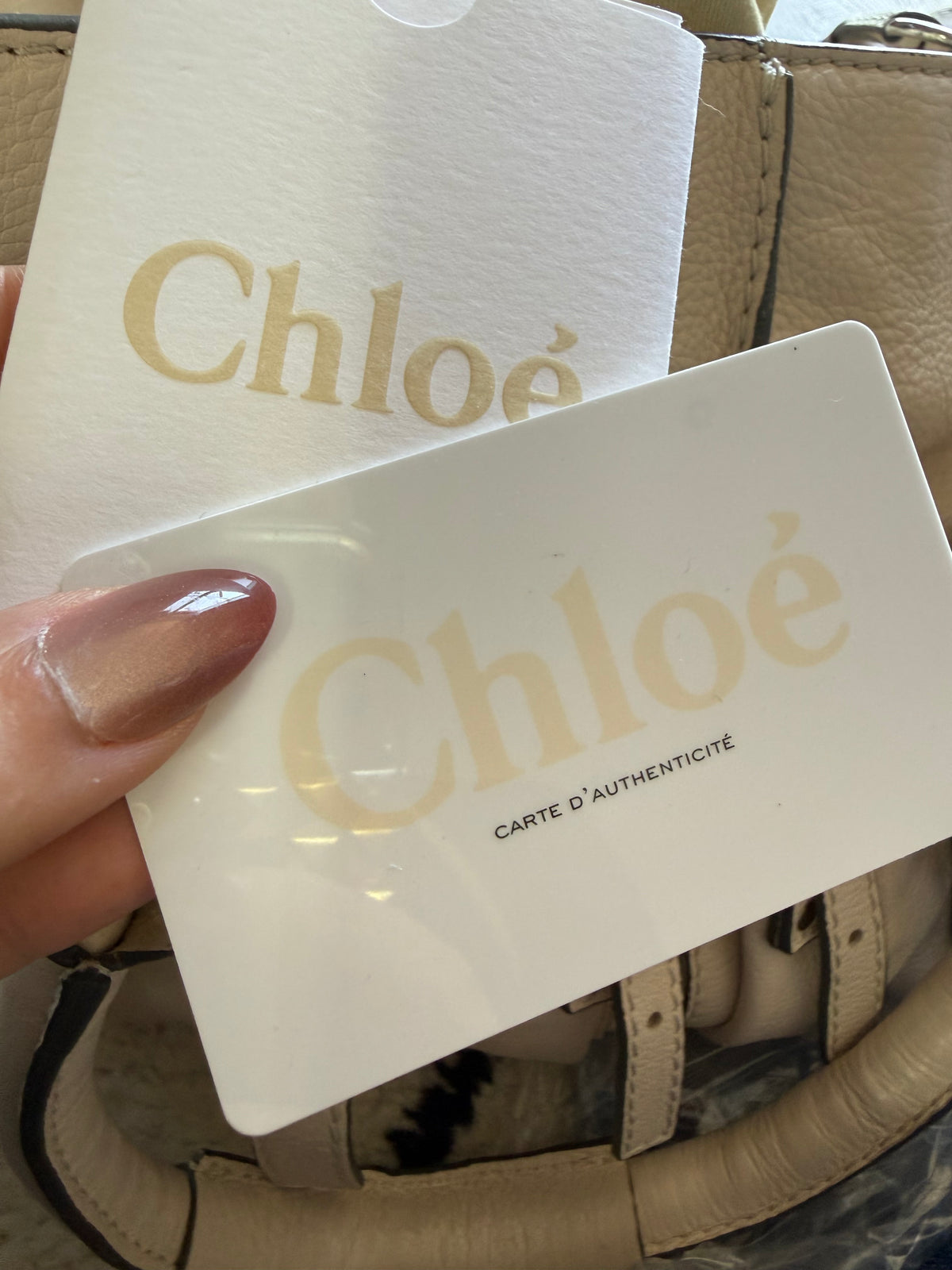 Chloe Paddington Buckle Shoulder Bag