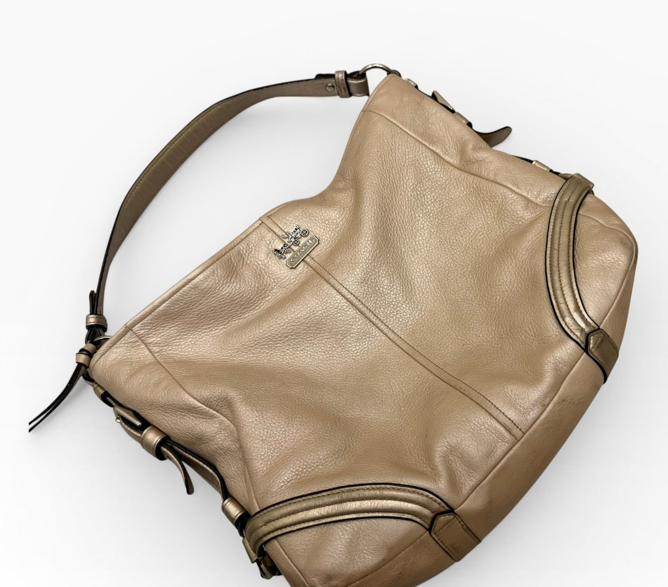 Coach Chelsea Metallic Leather Shimmer Hobo Bag