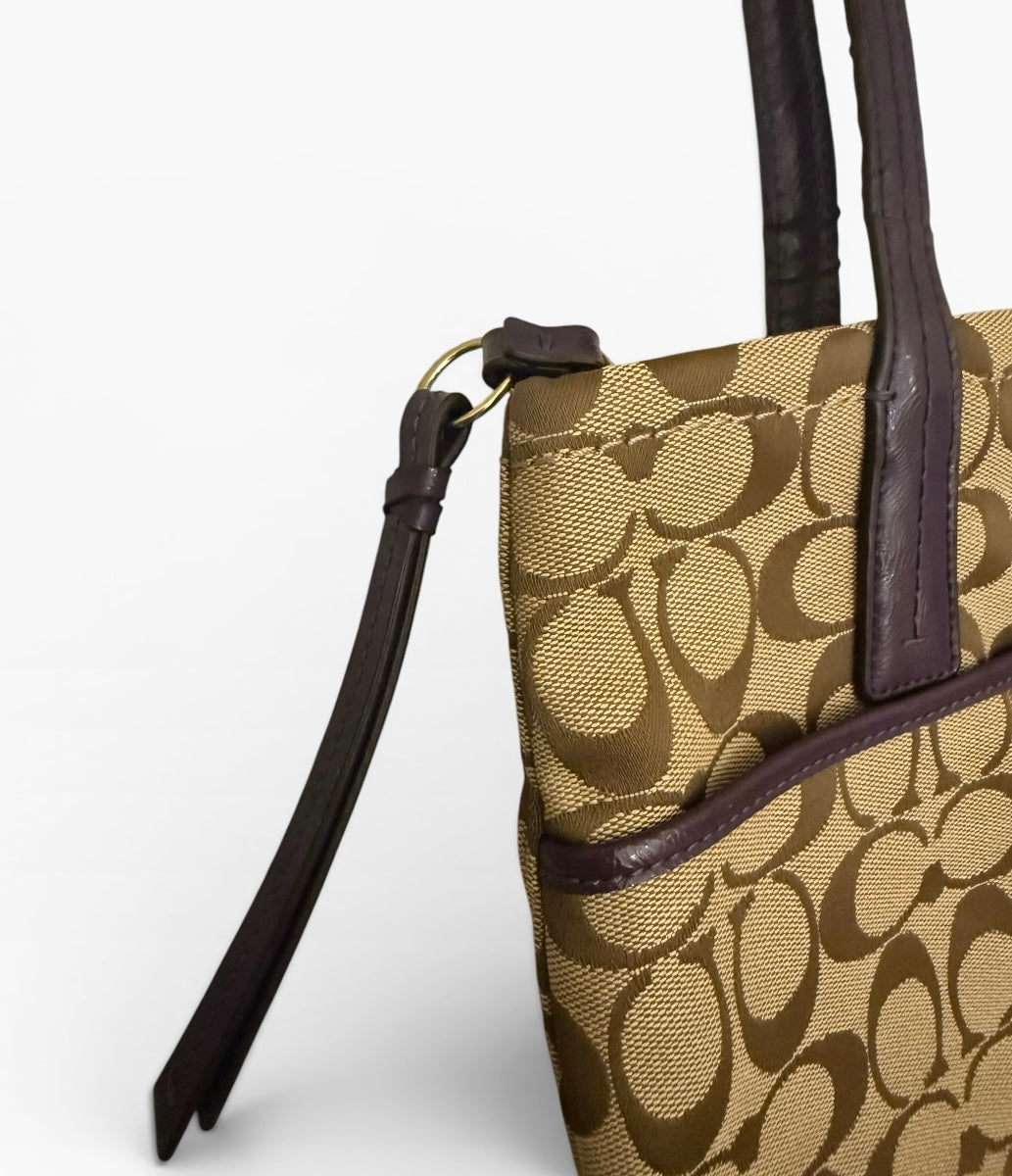 Coach Python Tote