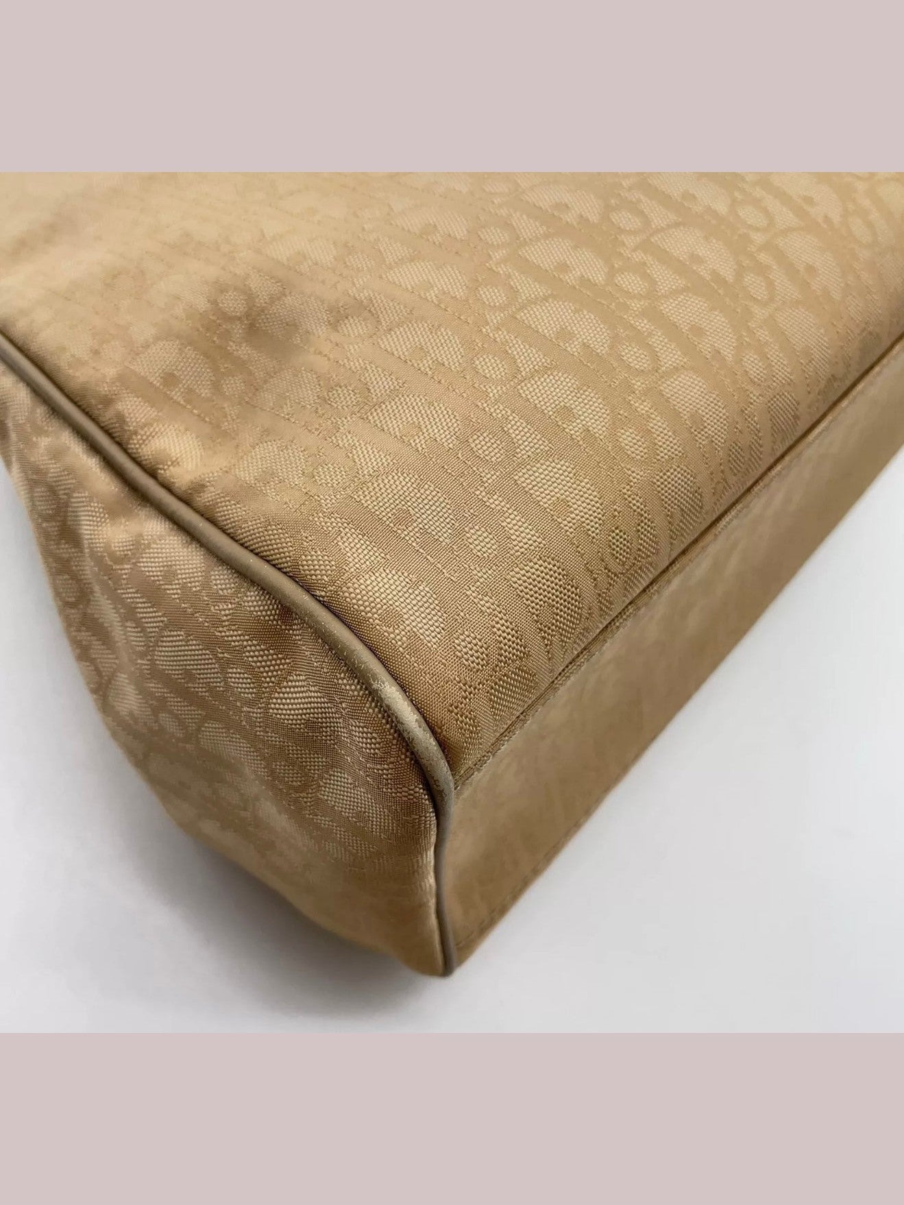 Christian Dior Rare Trotter Hand Bag