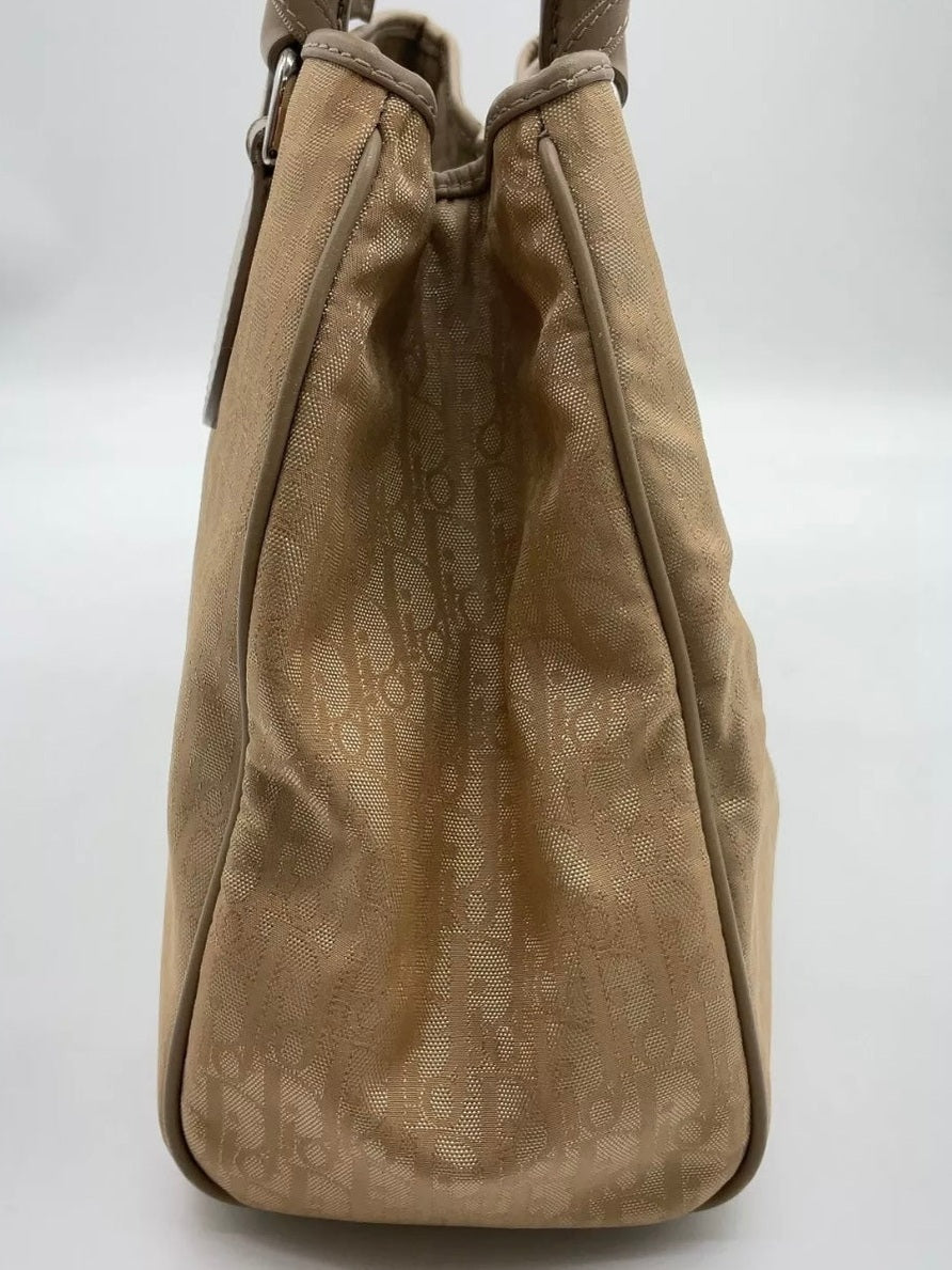 Christian Dior Rare Trotter Hand Bag